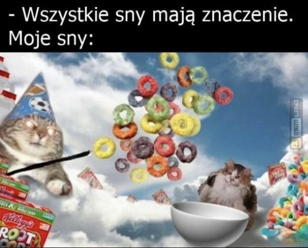 Śmieszny mem: 4501539 - MemLand