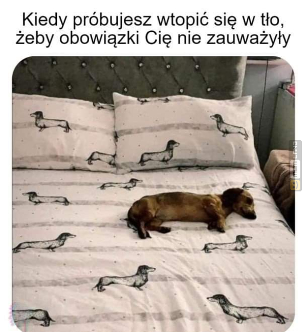 Śmieszny mem: 4501550 - MemLand