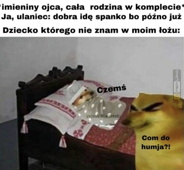 Śmieszny mem: 4508699 - MemLand
