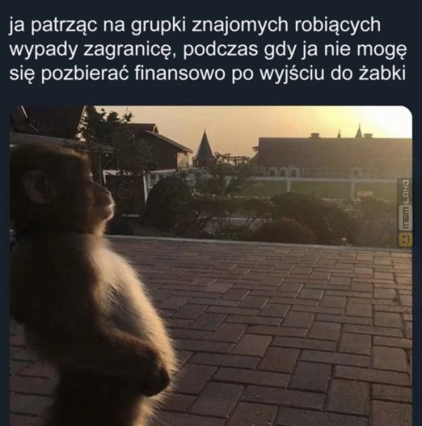 Śmieszny mem: 4511310 - MemLand