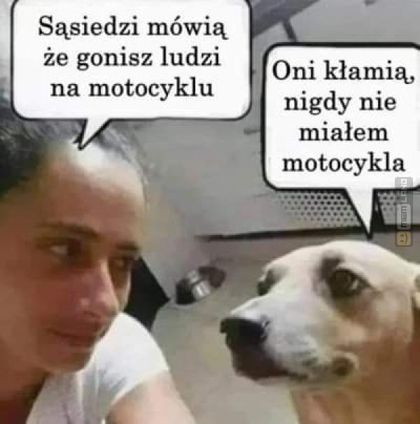 Śmieszny mem: 4521663 - MemLand