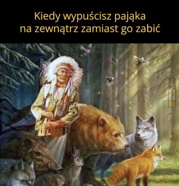 Śmieszny mem: 4521885 - MemLand