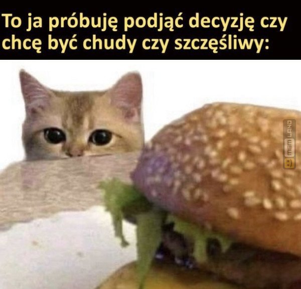 Śmieszny mem: 4530076 - MemLand