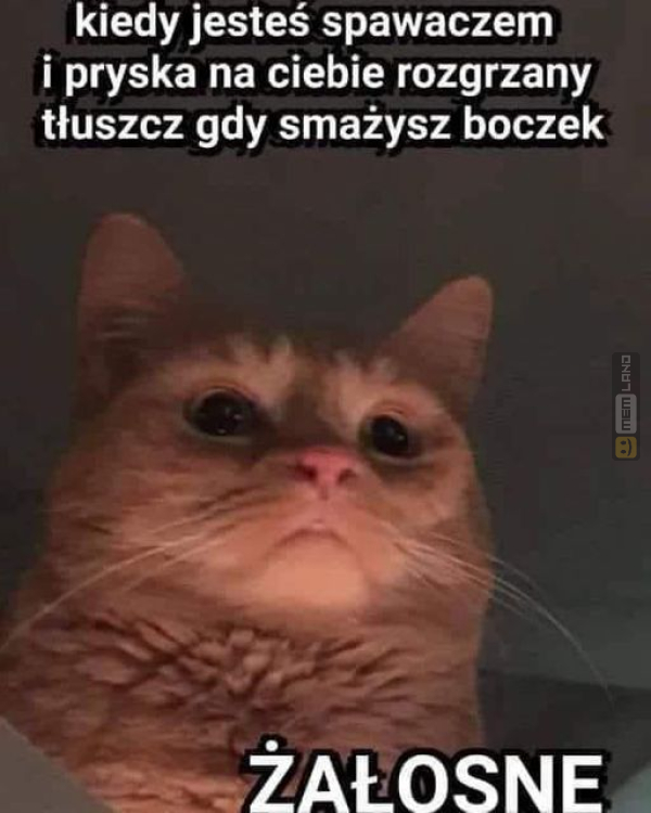 Śmieszny mem: 4530703 - MemLand