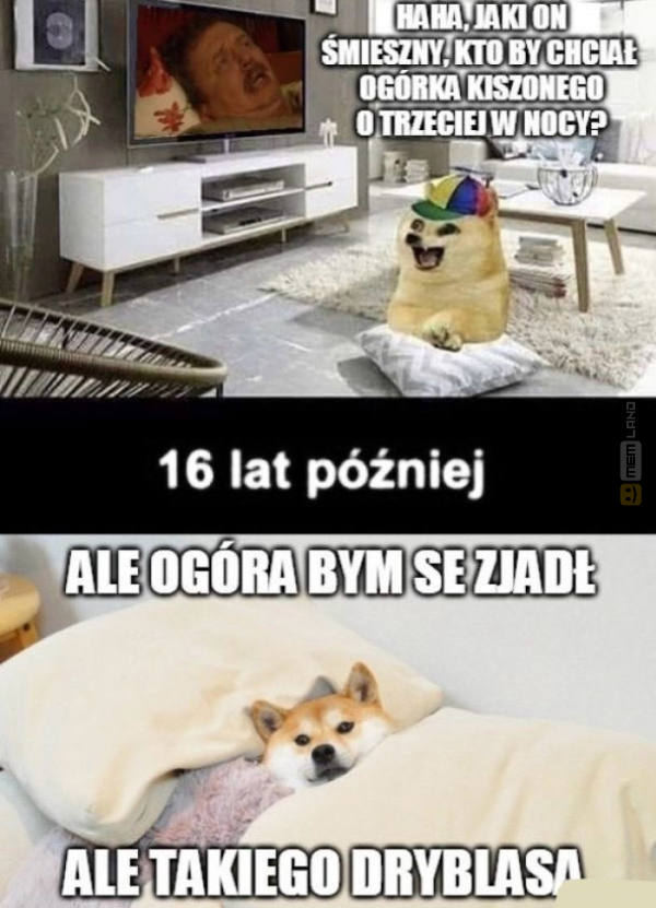 Śmieszny mem: 4534428 - MemLand
