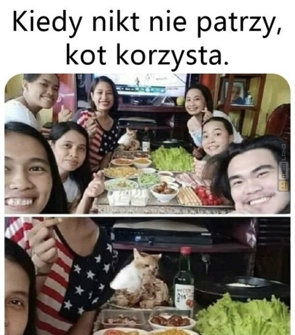 Śmieszny mem: 4540698 - MemLand