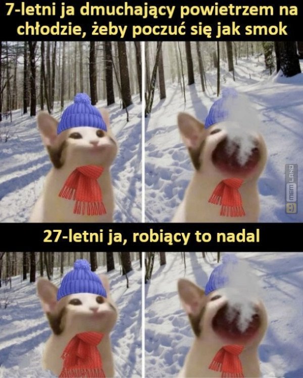 Śmieszny mem: 4546046 - MemLand