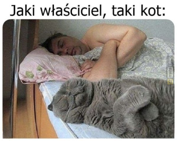 Śmieszny mem: 4550990 - MemLand