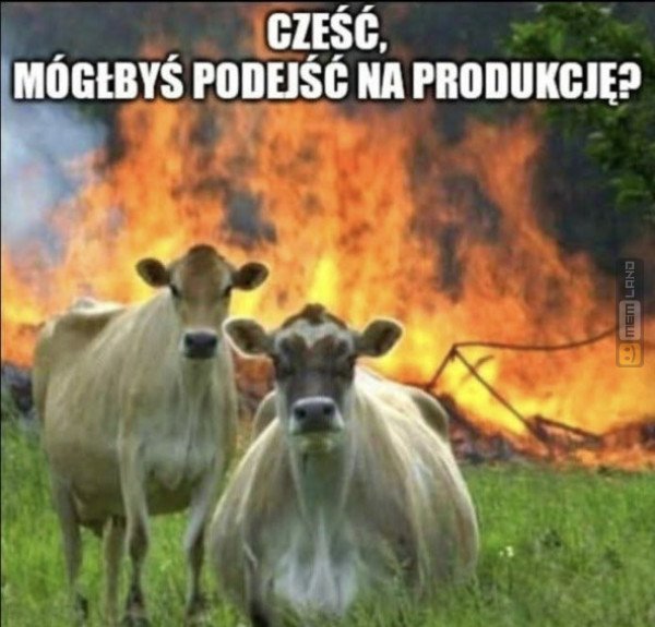Śmieszny mem: 4552493 - MemLand