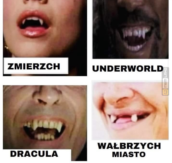 Śmieszny mem: 4561684 - MemLand