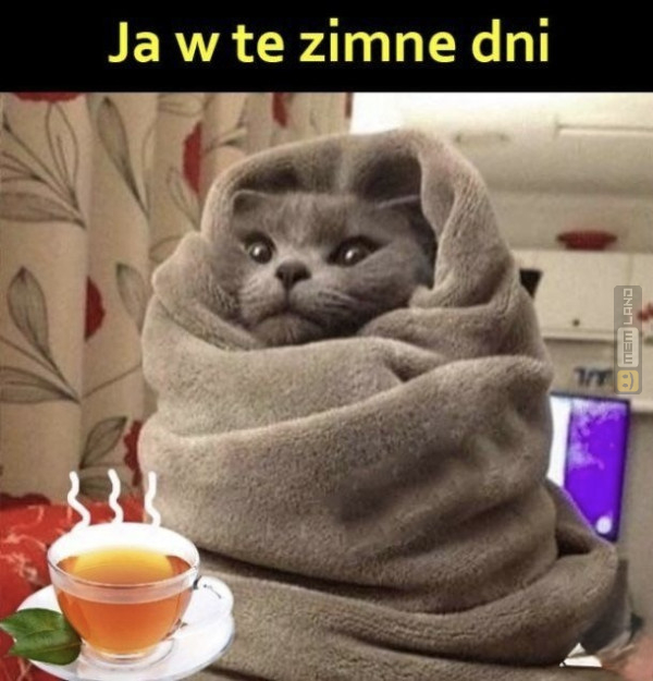 Śmieszny mem: 4572935 - MemLand