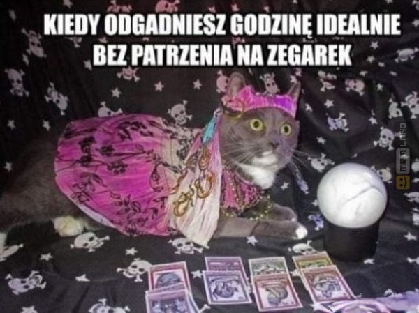 Śmieszny mem: 4573020 - MemLand