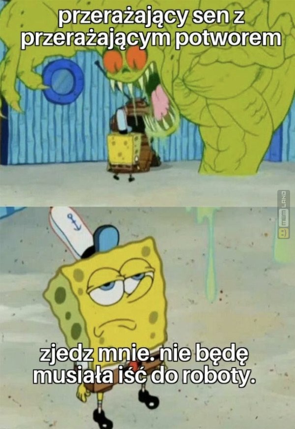 Śmieszny mem: 4573418 - MemLand