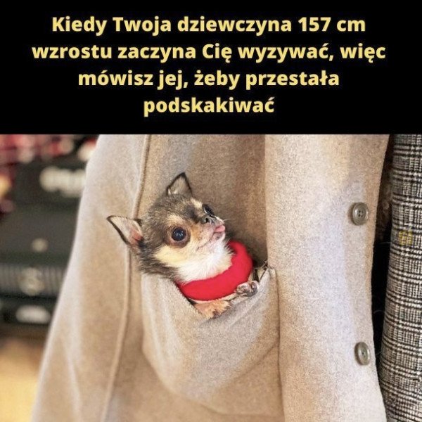 Śmieszny mem: 4574017 - MemLand