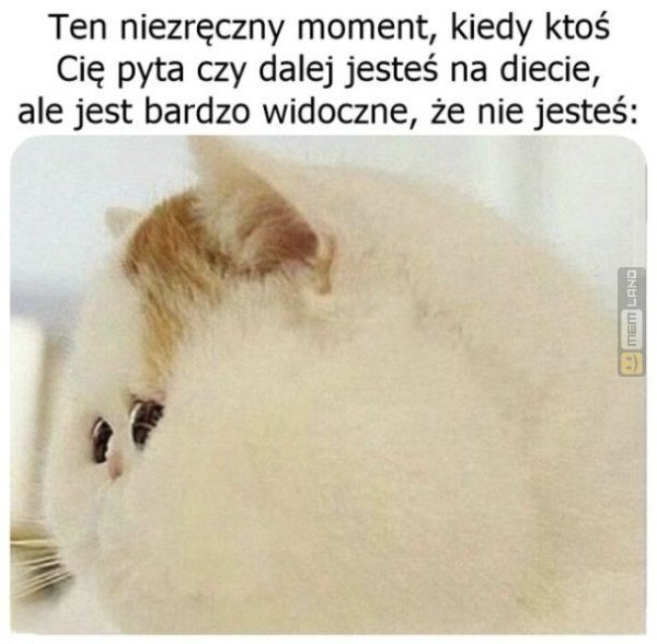 Śmieszny mem: 4575647 - MemLand
