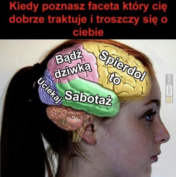 Śmieszny mem: 4576205 - MemLand