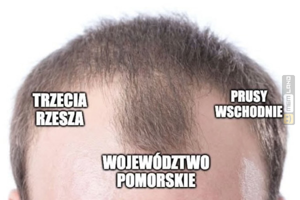 Śmieszny mem: 4581563 - MemLand