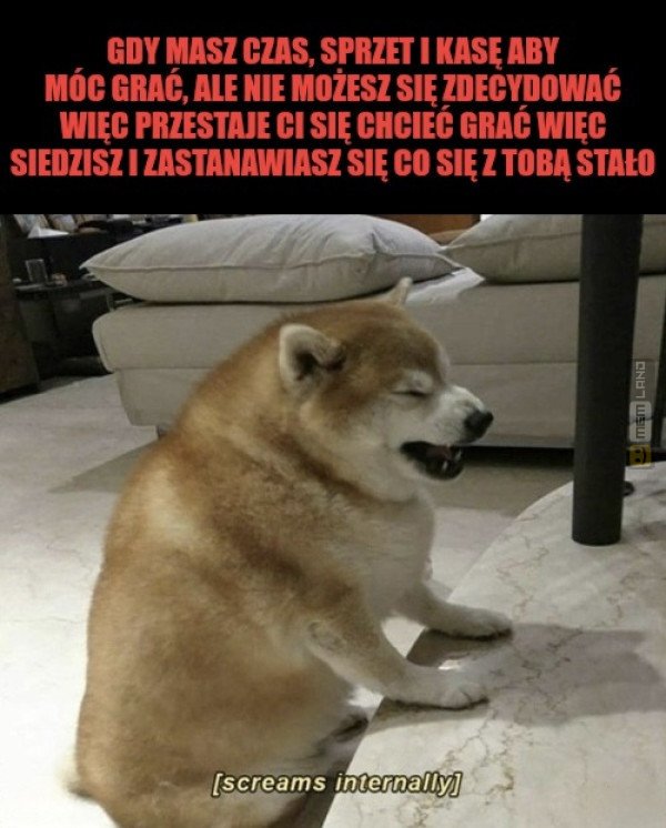 Śmieszny mem: 4586306 - MemLand