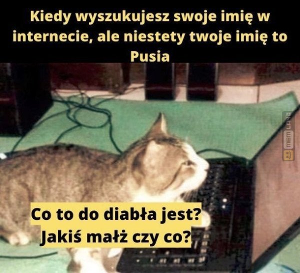 Śmieszny mem: 4586513 - MemLand