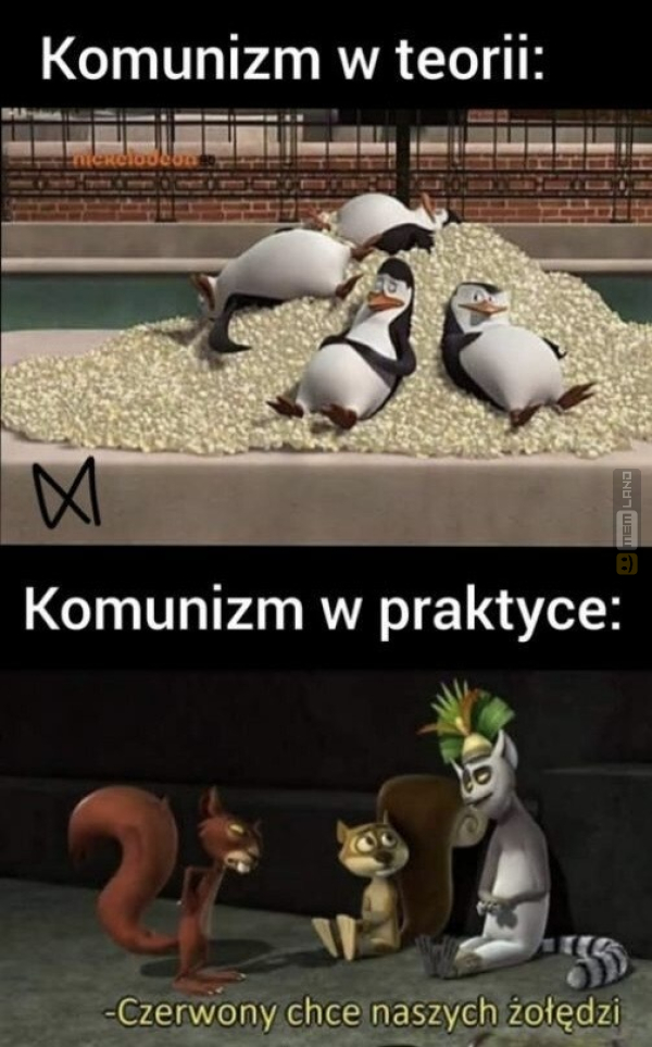 Śmieszny mem: 4587955 - MemLand