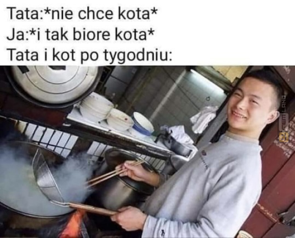 Śmieszny mem: 4595209 - MemLand