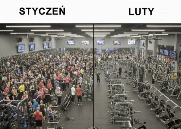 Śmieszny mem: 4597548 - MemLand