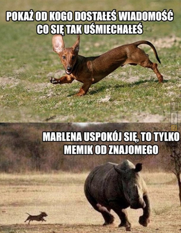 Śmieszny mem: 4600389 - MemLand
