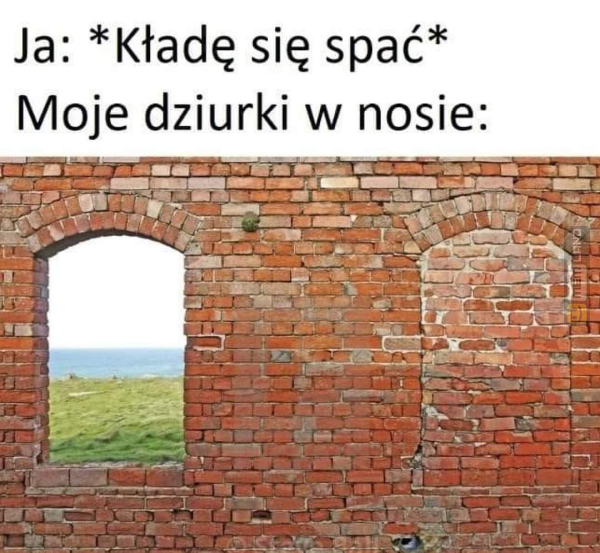 Śmieszny mem: 4600542 - MemLand