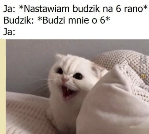 Śmieszny mem: 4604633 - MemLand