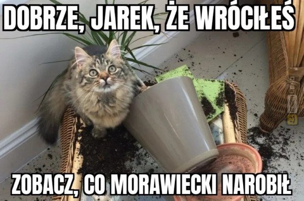 Śmieszny mem: 4606754 - MemLand