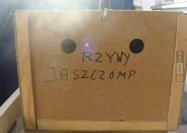 Śmieszny mem: 4609359 - MemLand