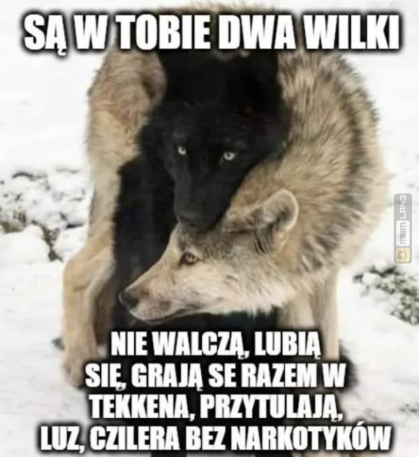 Śmieszny mem: 4613670 - MemLand