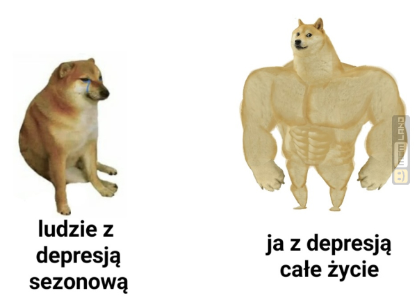 Śmieszny mem: 4614141 - MemLand