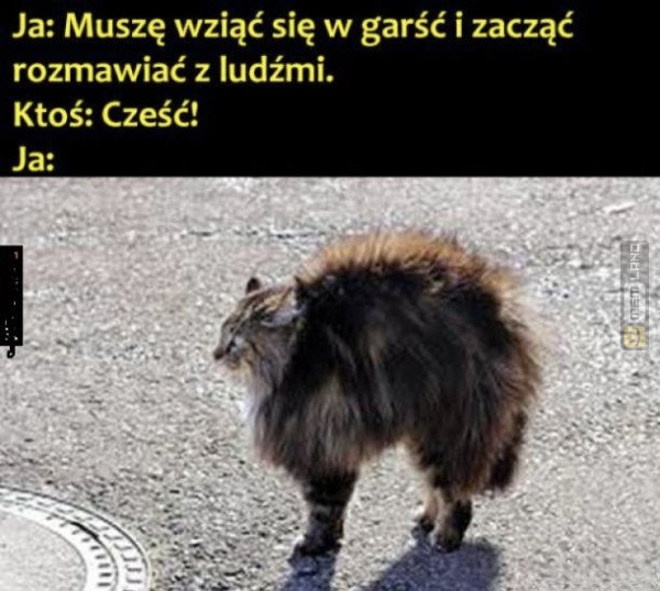 Śmieszny mem: 4615410 - MemLand