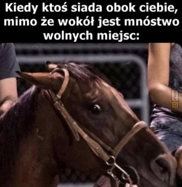 Śmieszny mem: 4622086 - MemLand