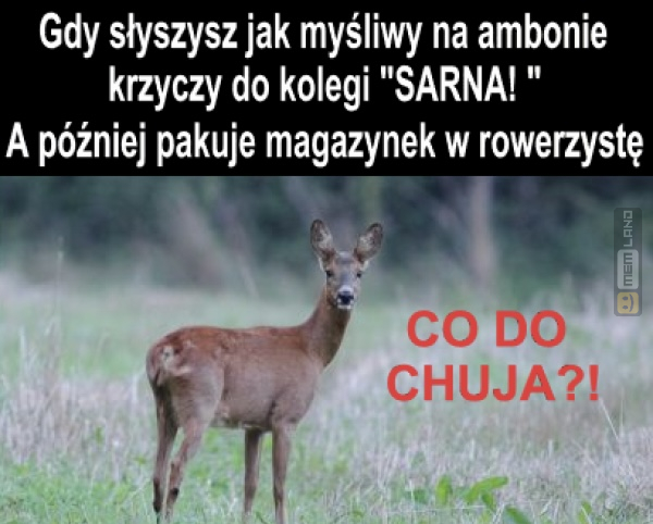 Śmieszny mem: 4625547 - MemLand