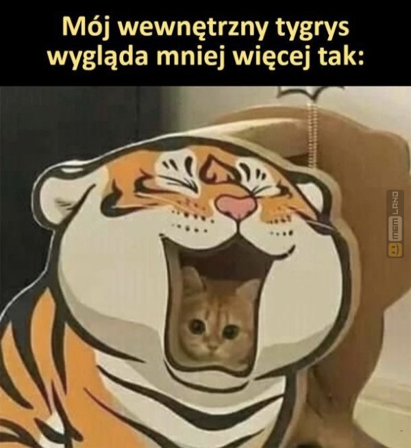 Śmieszny mem: 4626776 - MemLand