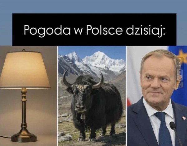 Śmieszny mem: 4628725 - MemLand