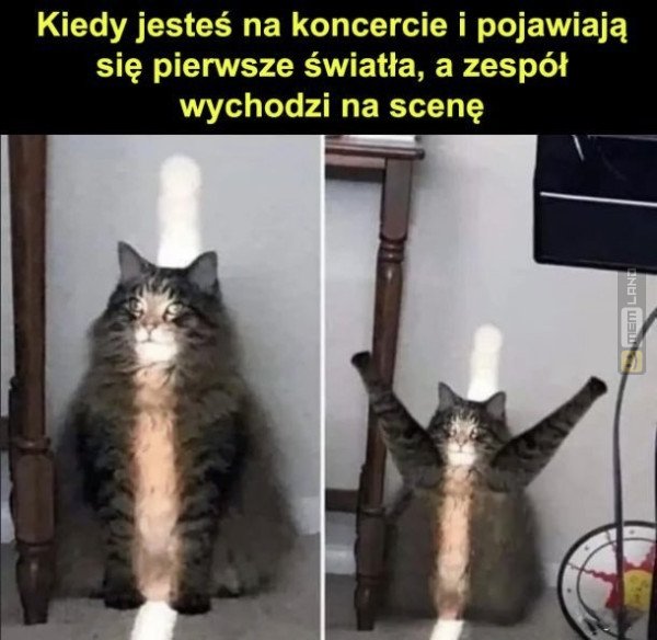 Śmieszny mem: 4631128 - MemLand