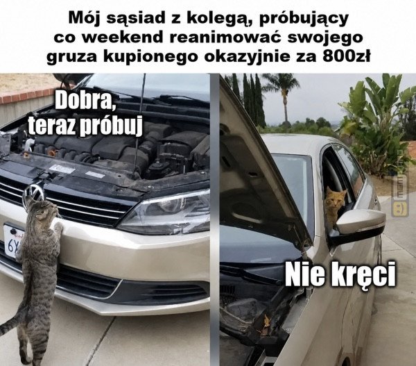 Śmieszny mem: 4637162 - MemLand