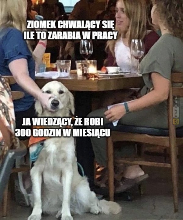 Śmieszny mem: 4641799 - MemLand