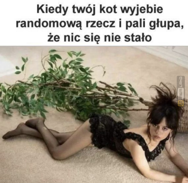 Śmieszny mem: 4645316 - MemLand