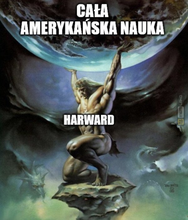 Śmieszny mem: 4646535 - MemLand