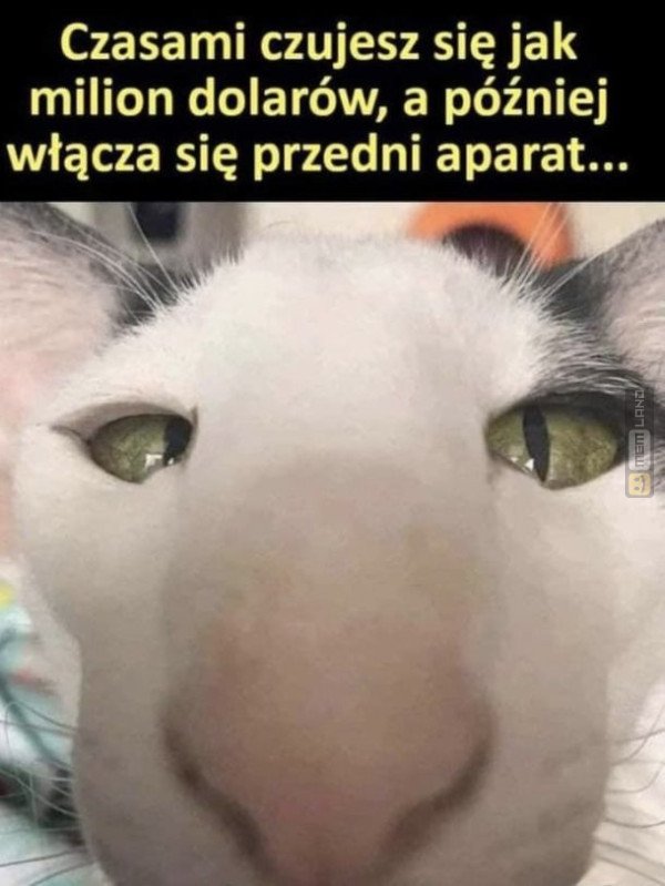 Śmieszny mem: 4648393 - MemLand