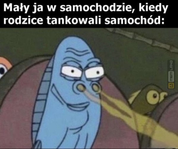 Śmieszny mem: 4650259 - MemLand