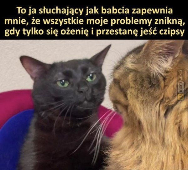 Śmieszny mem: 4656856 - MemLand