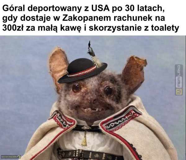 Śmieszny mem: 4658737 - MemLand