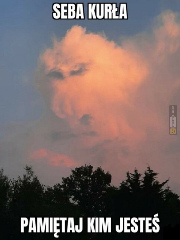 Śmieszny mem: 4659508 - MemLand