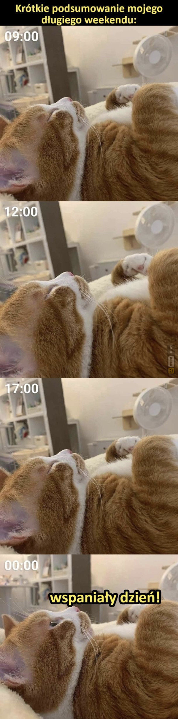 Śmieszny mem: 4661825 - MemLand