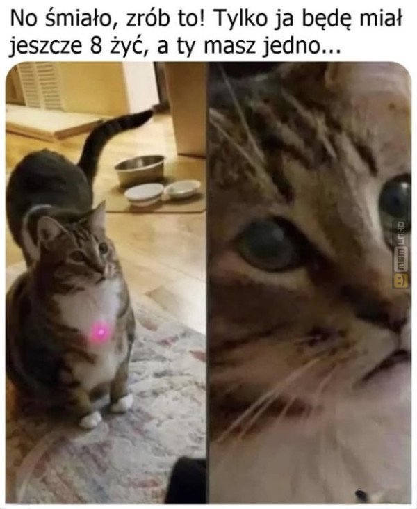 Śmieszny mem: 4665730 - MemLand